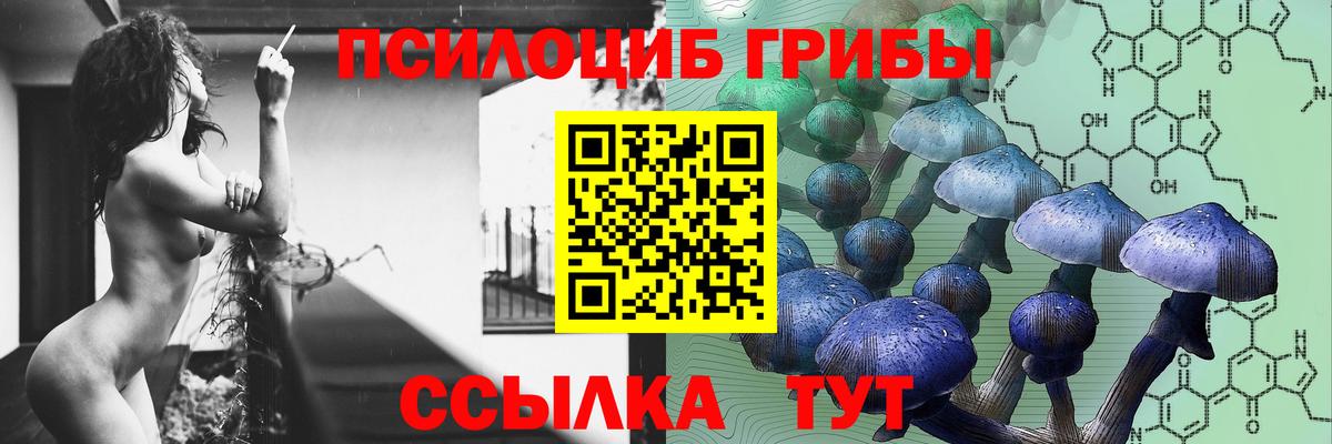 Пенза  Псилоцибиновые грибы Psilocybe  где найти   Вход с VPN 